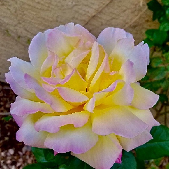 Meet your Posher, Michelle - Picture 7 of 13